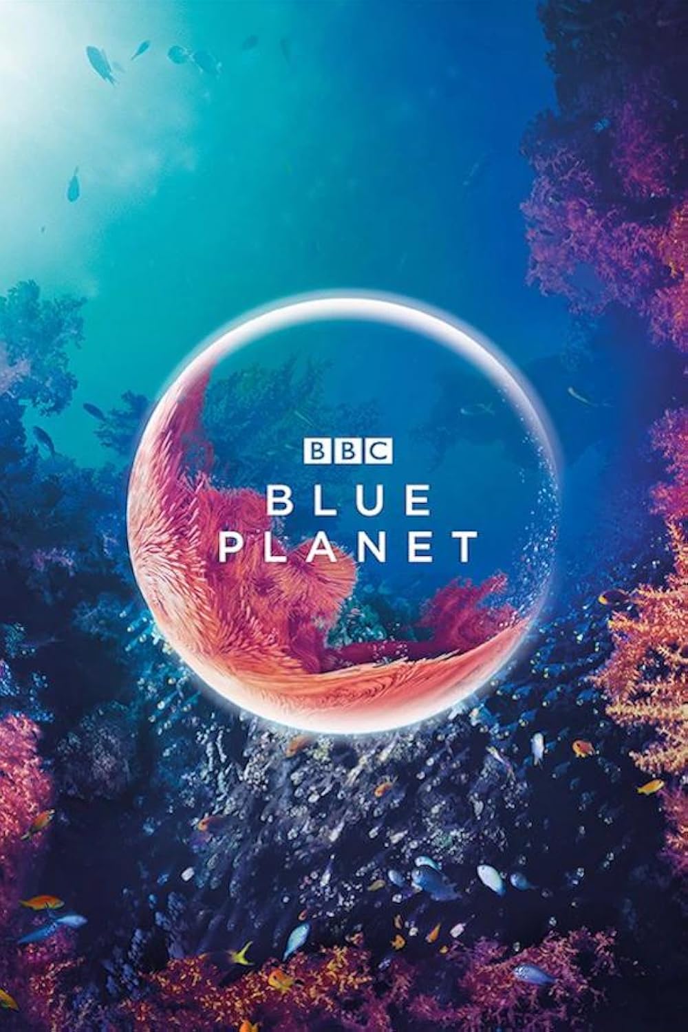 Project Cover